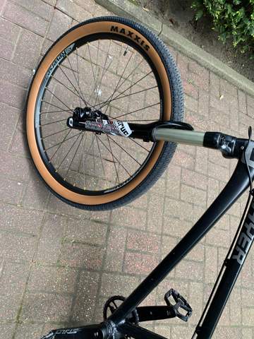 Bild zum Beitrag