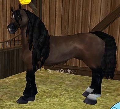 ANDALUSIER - (Star Stable, Pferdekauf, Friesen)