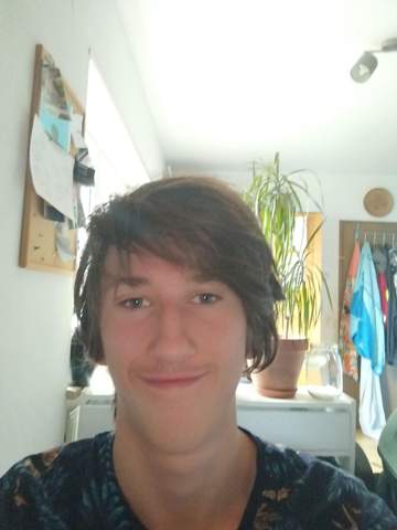 Bild zum Beitrag