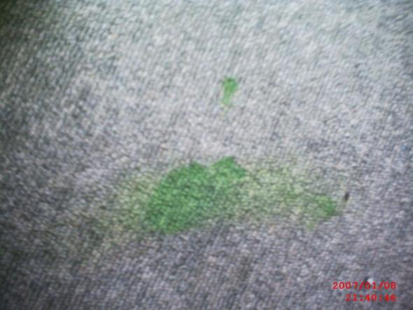 Der Fleck-.- - (Flecken, Nagellack, Teppich)