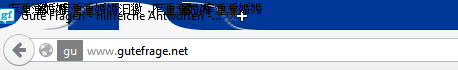 Chinesische Schriftzeichen - (Internet, Mozilla Firefox, Suchleiste)