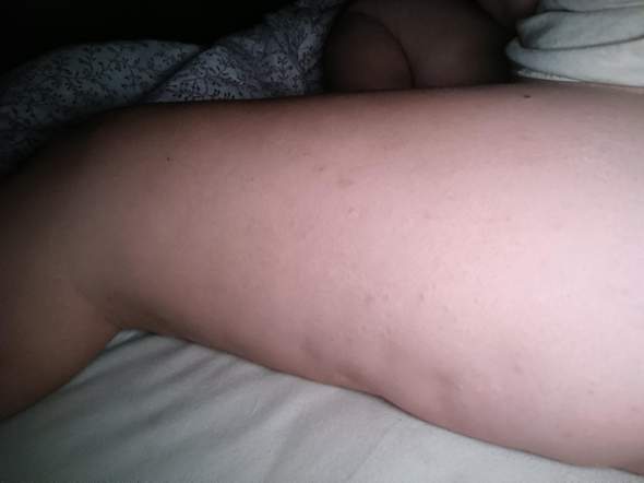 Bild zum Beitrag