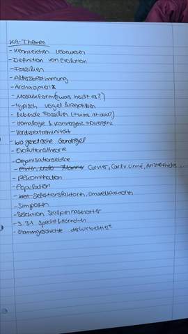 Bild zum Beitrag