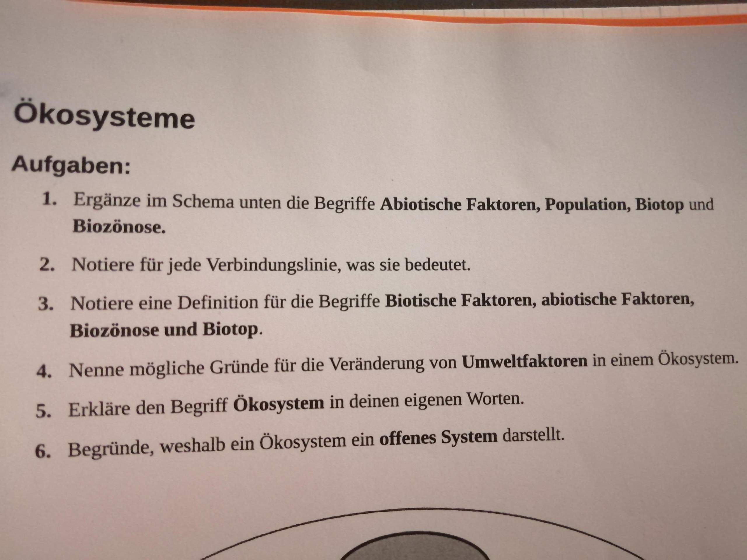 Hilfe bei biologie Hausaufgaben (Ökosystem) Klasse 10? (Schule