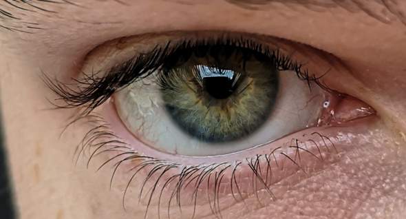 - (Augen, Farbe, Licht)