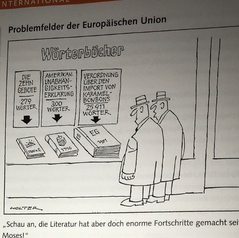 Karikatur der Probleme der EU - (Europäische Union, Karikatur, Deutung)