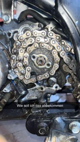 Bild zum Beitrag
