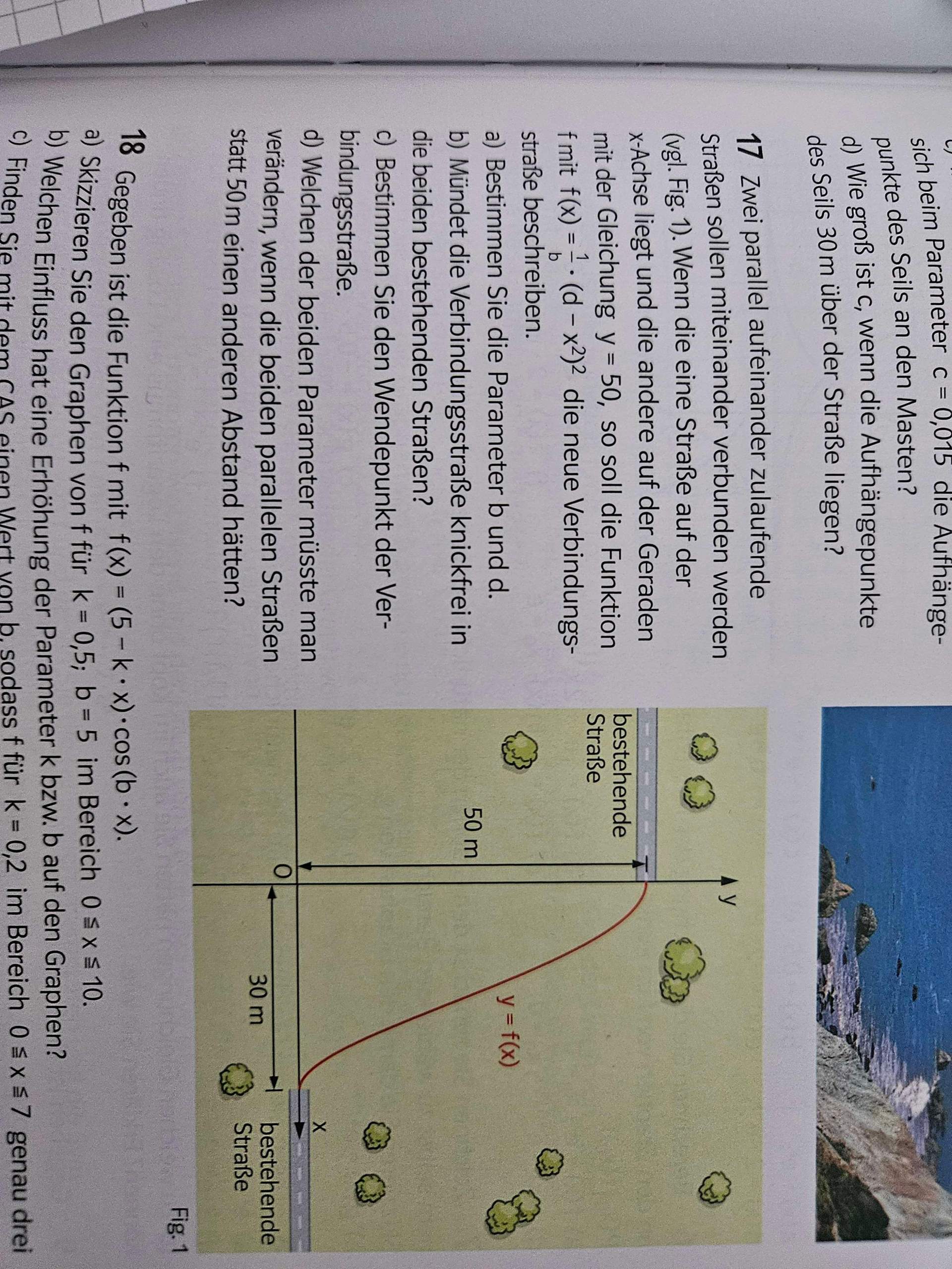 Hilfe bei Mathe Aufgabe Funktionsscharen? (rechnen, Funktion, Gleichungen)