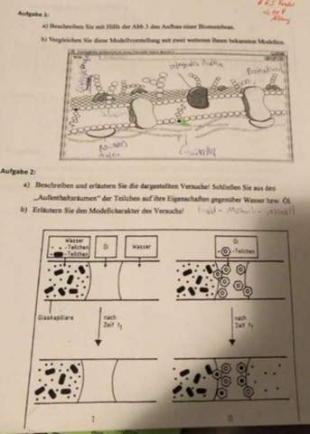 hilfe beim thema biomembran schule biologie