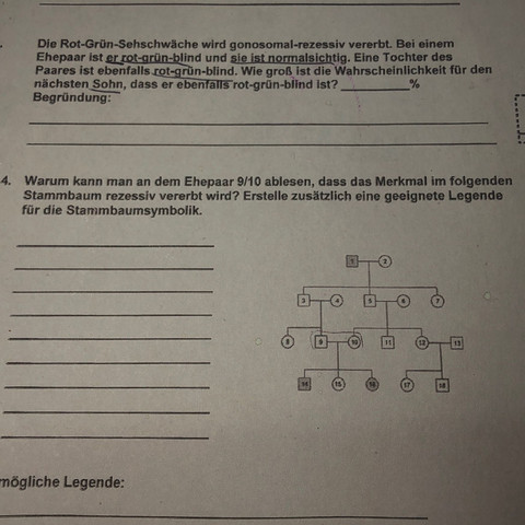 - (Schule, Hausaufgaben, Bio)