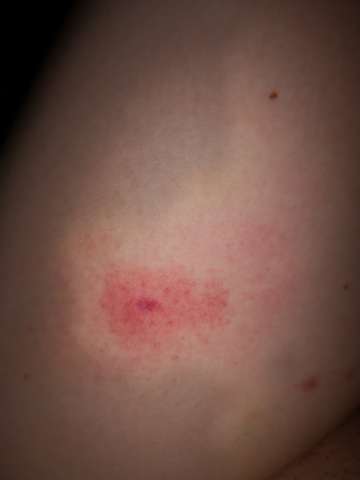 Friseure In Badenwrttemberg Diese Dienstleistung Werden