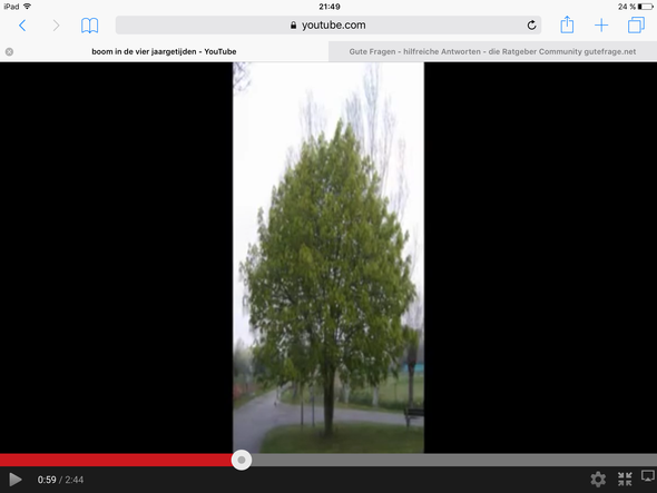 Der Baum - (Bilder, Baum)