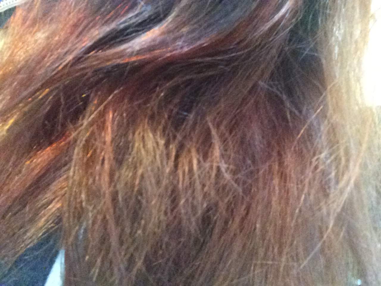 Hilfe! Grünstich in den Haaren geht nicht raus!(