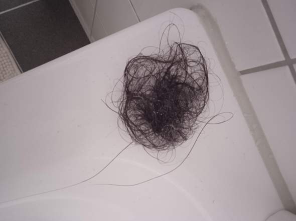 HILFE! HAARAUSFALL! Meine Haare fallen im Übermaß aus? (Gesundheit und ...