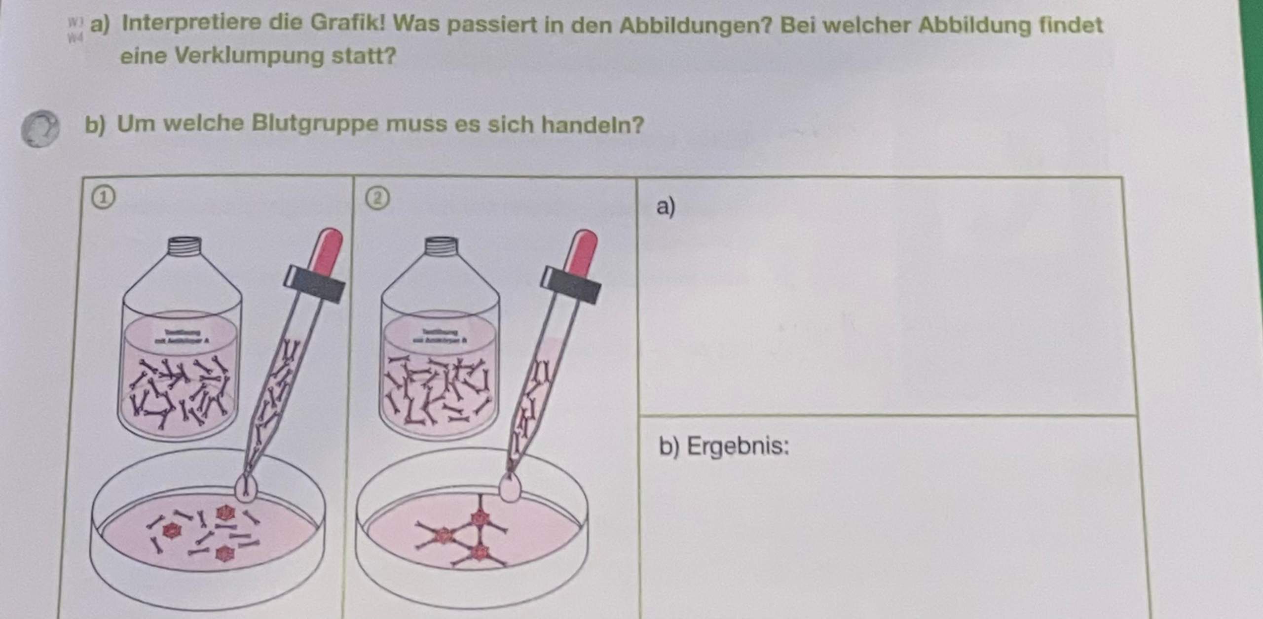 Hilfe In Biologie (Blutgruppen)? (Schule, Lernen, Blut)