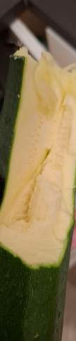 Hilfe Ist Diese Zucchini Verschimmelt Schimmel Haltbarkeit hilfe-ist-diese-zucchini-verschimmelt-schimmel-haltbarkeit