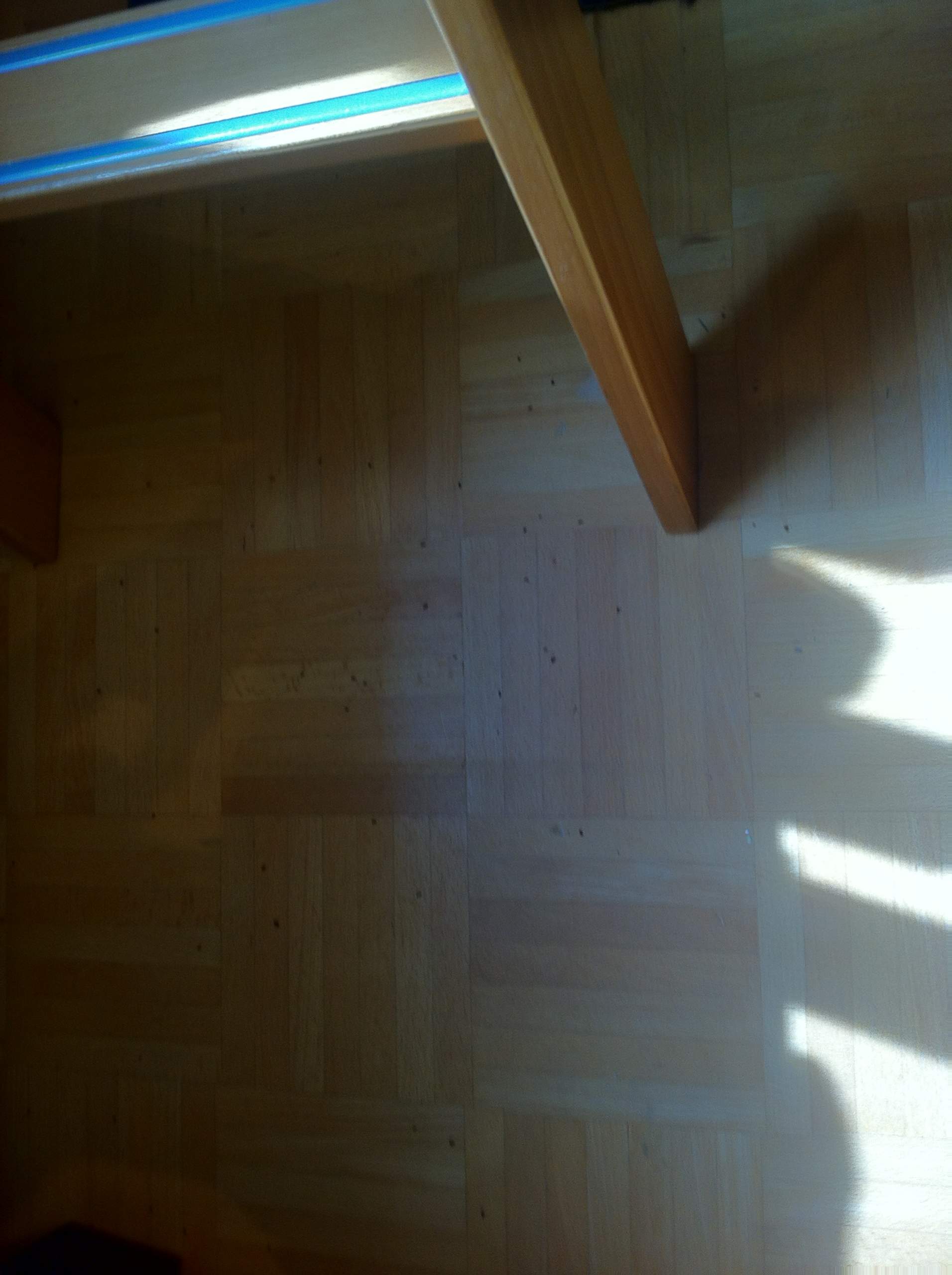 HIlfe Kleine braune käfer im zimmer (Insekten, Schädlinge