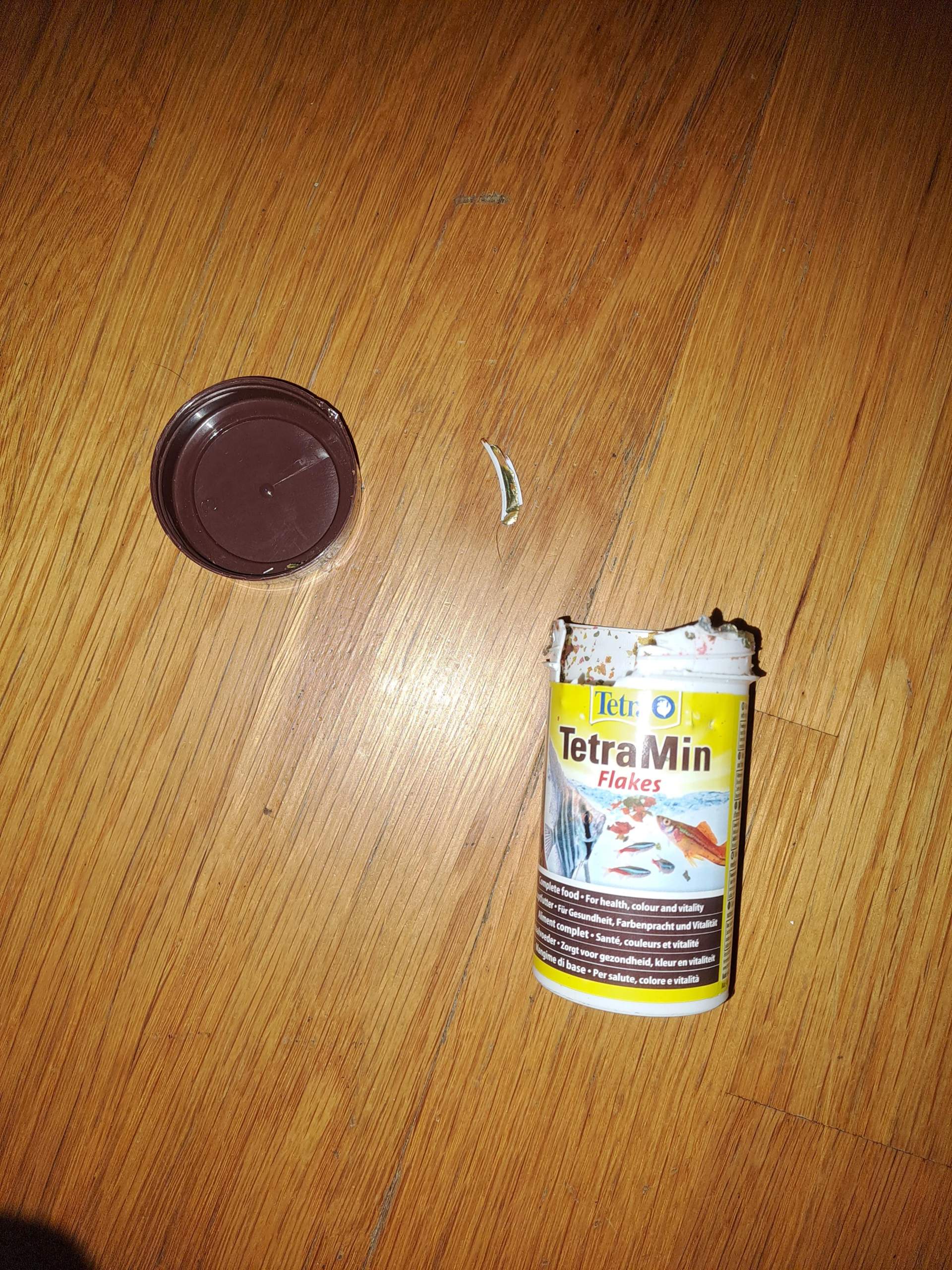 Hilfe mein Hund hat Plastik gefressen und Fischfutter? (Tierarzt, Gift, Vergiftung)