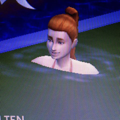 Ps: Ich wollte eigentlich das mein Sim sie am nächsten Tag Heiratet... - (Sims 4)