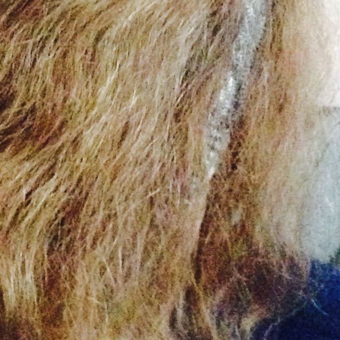 Hilfe meine Haare sind schlimm (Pflege, kaputt)