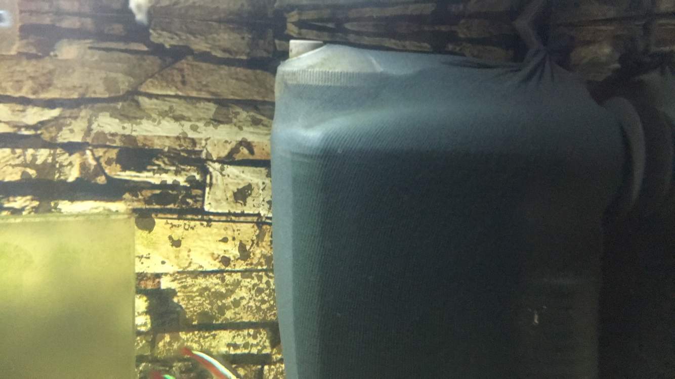 Hilfe mit innenfilter mit oder ohne schlauch neue frage weil bild