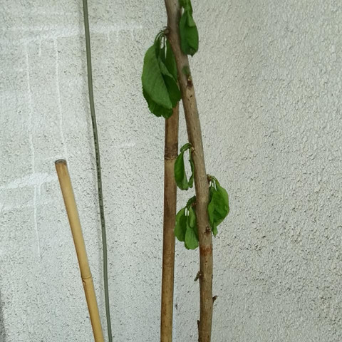 Frische beziehung wie oft melden Frische beziehung wie oft melden