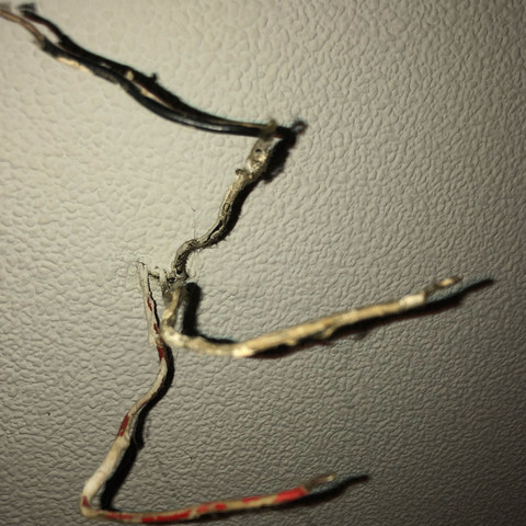 Hilfe Strom Lampe Anschliessen Farbe Kabel Schwarz