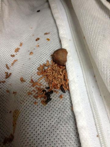 Wo war ich Wo war ich