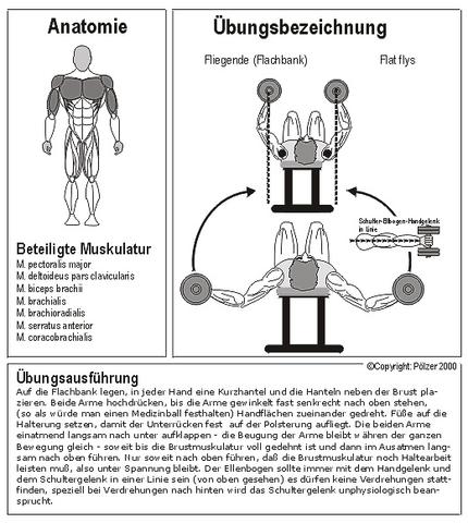 Bild 1 - (Gesundheit, Sport, Beauty)