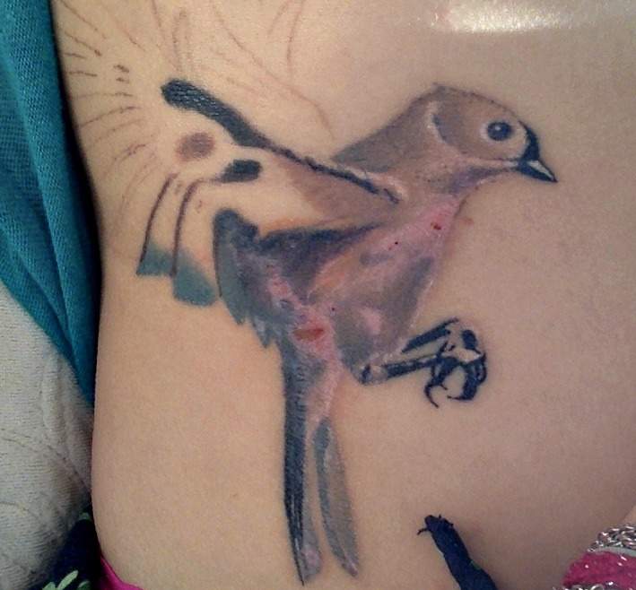HILFE Unfall nach frisch gestochenem Tattooo.... stellen fehlen! (Bild