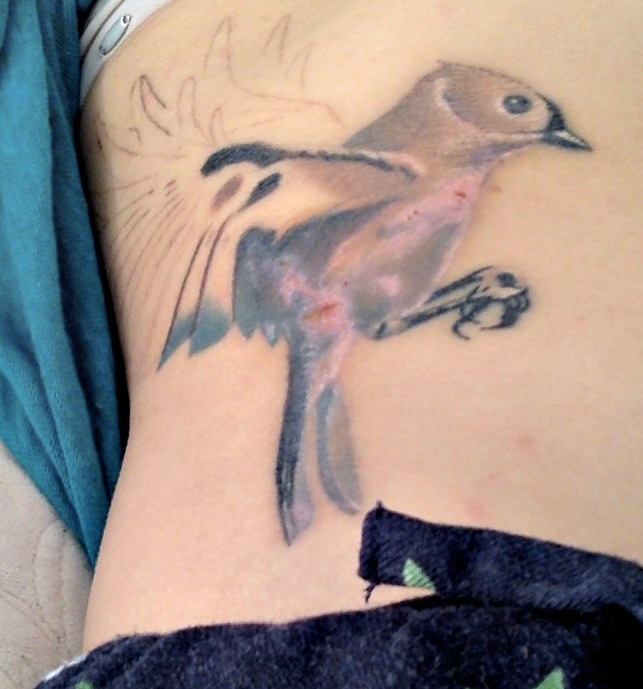 HILFE Unfall nach frisch gestochenem Tattooo&hellip;. stellen fehlen! (Bild