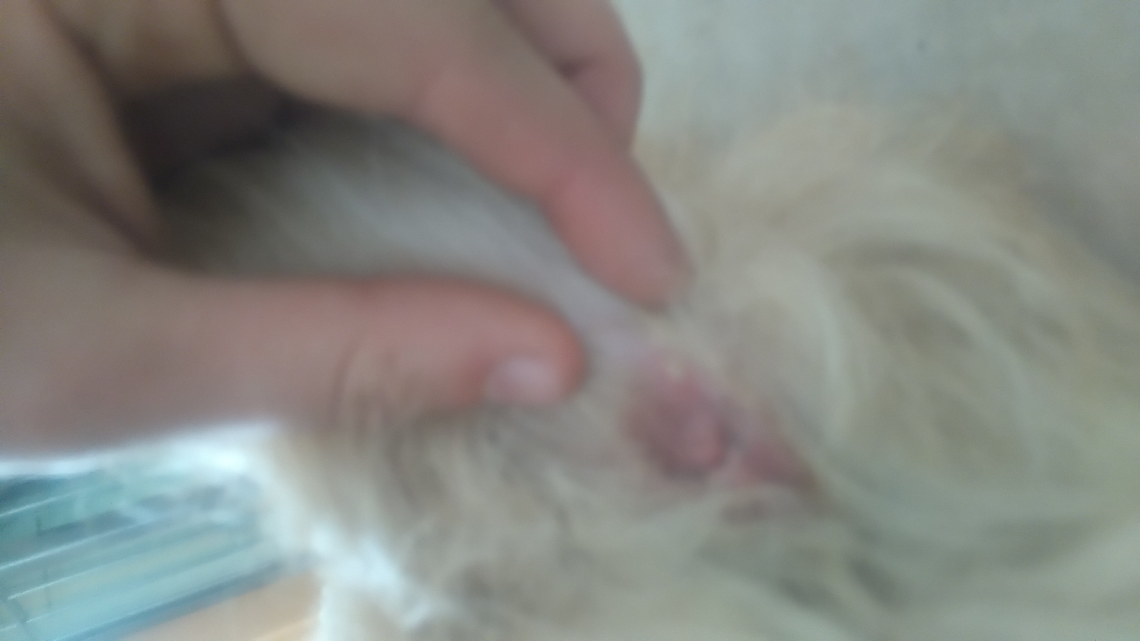 Hilfe, Unser Hund hat einen kleinen Eiter pickel etwas über den Popo