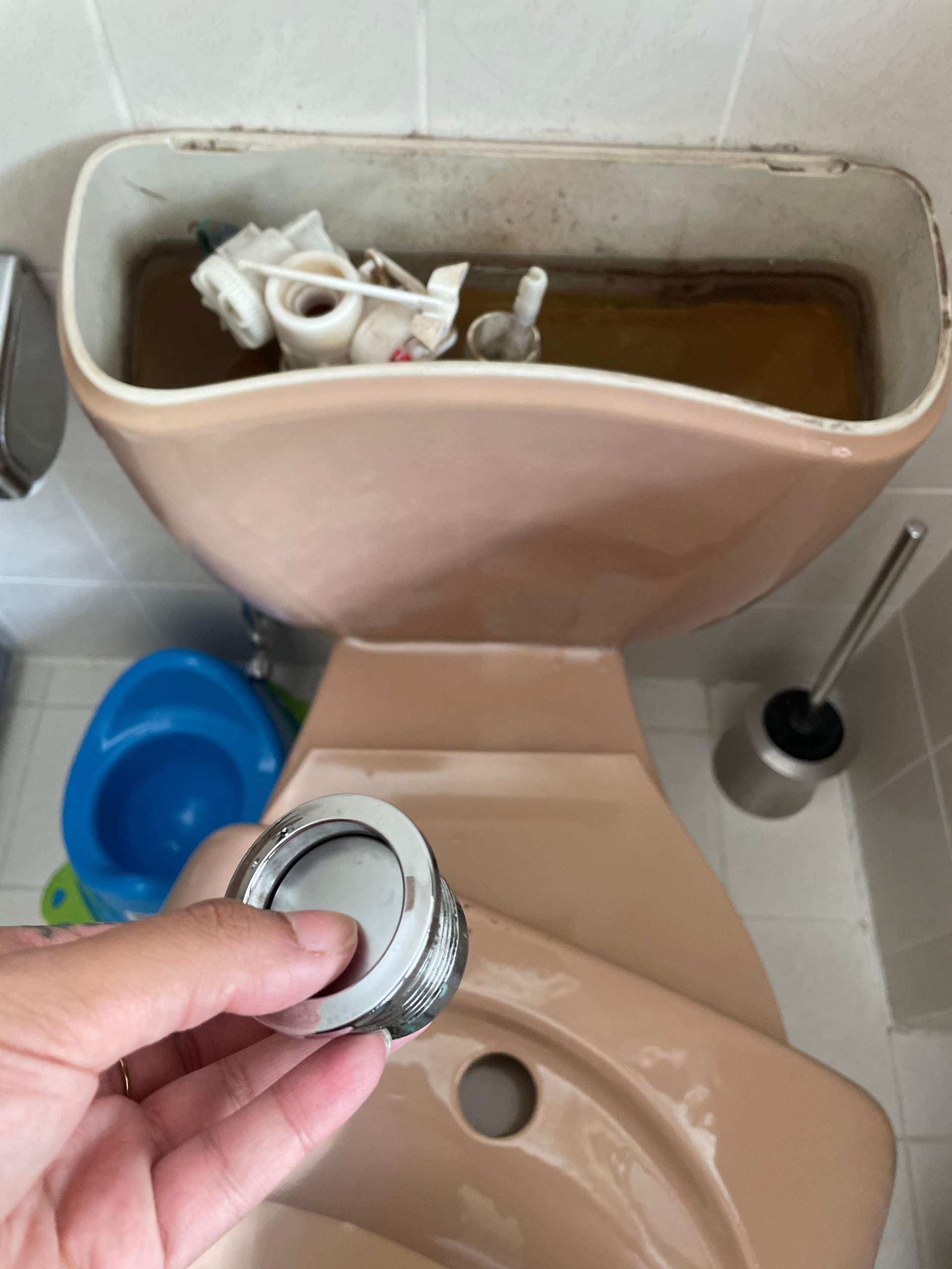Toilette Zieht Wasser Weg