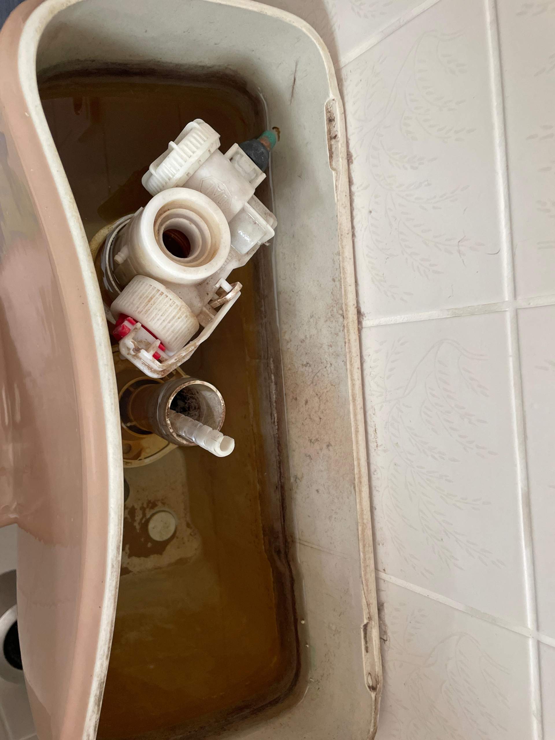 Toilette Zieht Wasser Weg