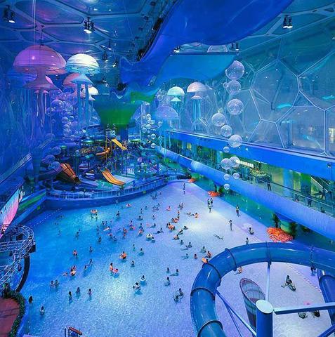 Schwimmbad - (Schwimmbad, Hallenbad)