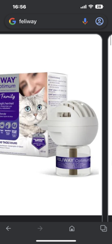 Hilft Feliway Duft gegen das Urinieren von Katzen?