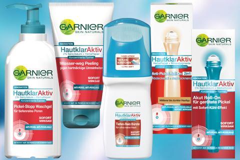 13 - (Pickel, garnier)