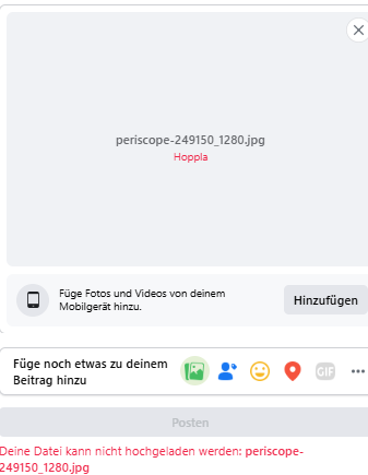 Bild zum Beitrag