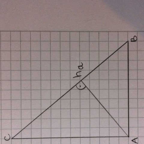 Das rechtwinklige Dreieck - (Mathematik, Geometrie, Dreieck)