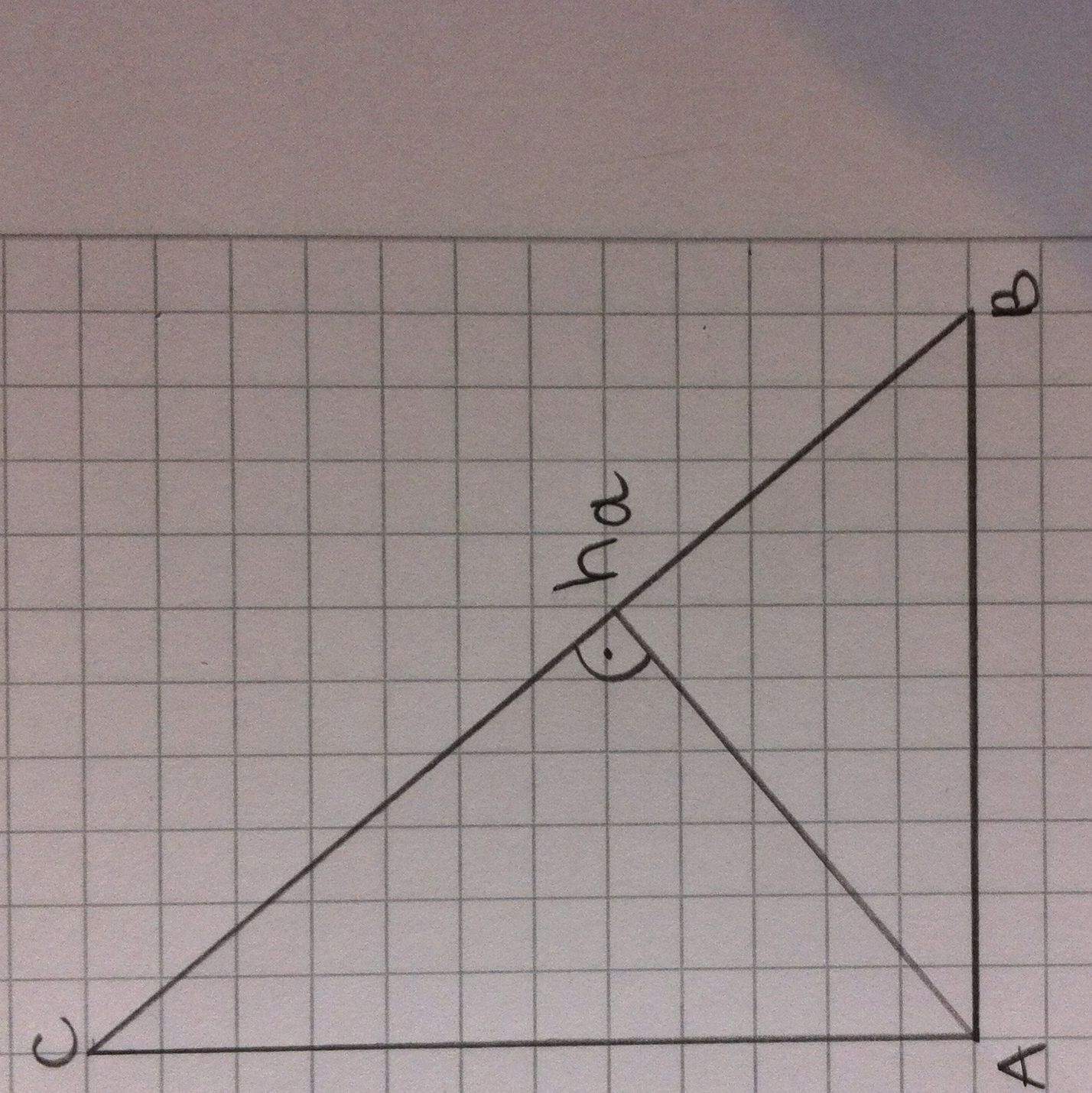 Höhen eines rechtwinkligen Dreieck? (Mathematik, Geometrie, Höhe)