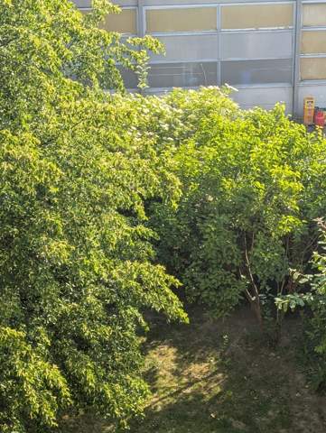 Bild zum Beitrag
