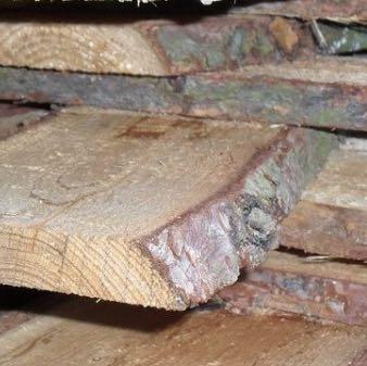 holz bretter mit rinde (Rind, Brett)