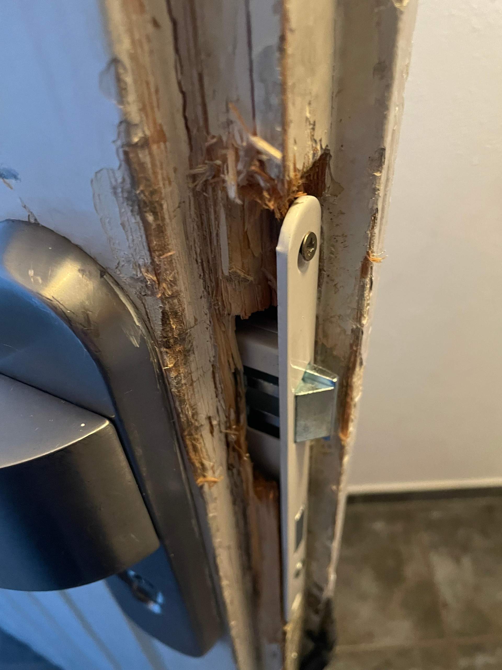 Holz Tür reparieren? (Handwerk, Holzbearbeitung)