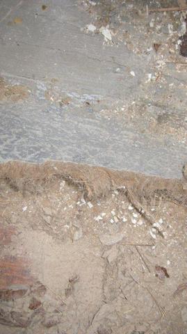 Reste vom PVC Boden auf den Dielen - (Kleber, Sanierung, PVC-Boden)
