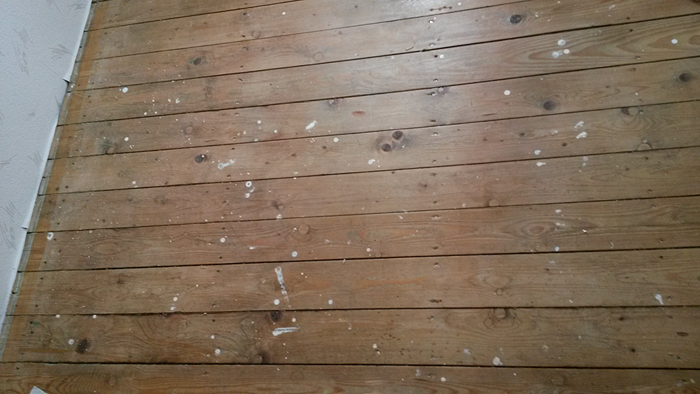 Holzdielen quietschen extrem - welche Möglichkeiten habe ich? (Holzboden)