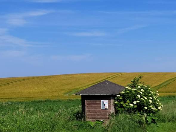 Bild zum Beitrag