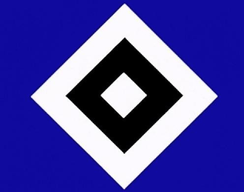HSV-Frisur wegen Klassenerhalt: Glatze oder blaue Haare mit Logo