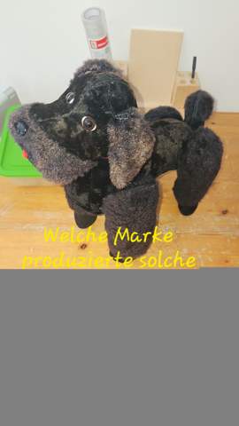 Bild zum Beitrag
