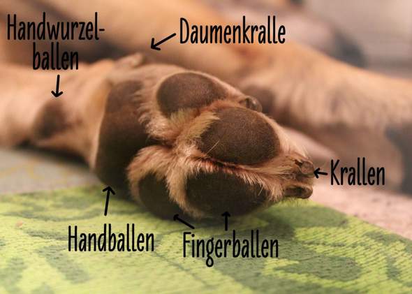 Bild zum Beitrag