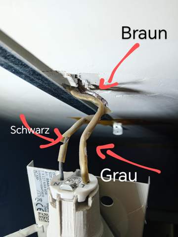 Bild zum Beitrag